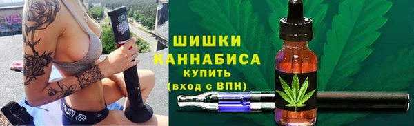 PSILOCYBIN Ельня