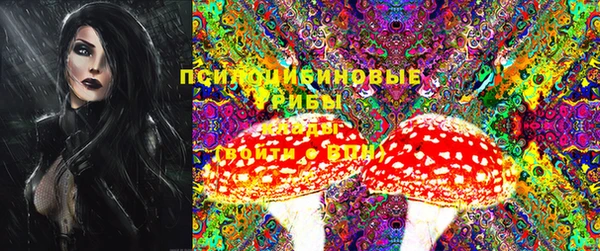PSILOCYBIN Ельня