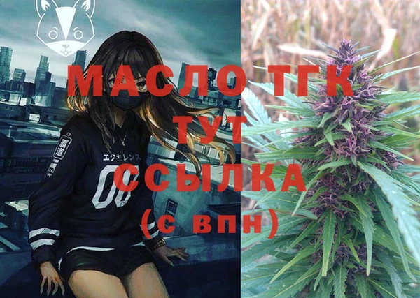 PSILOCYBIN Ельня