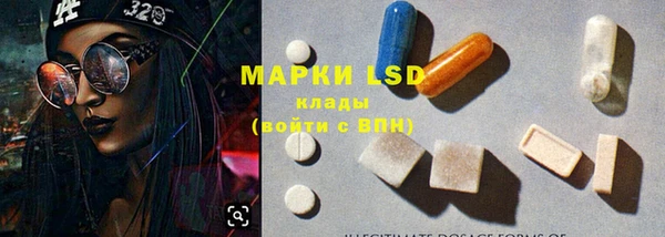 PSILOCYBIN Ельня